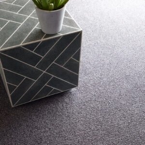 Tonal Carpet | LMK Floors