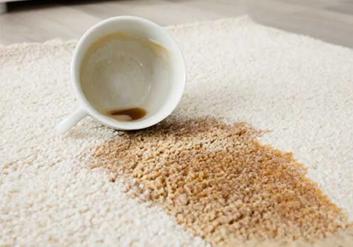 Area-Rug-care-img Area-Rug-care-img