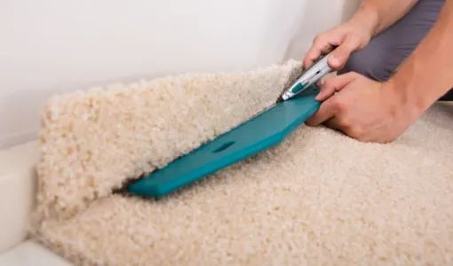 carpet-care (6)